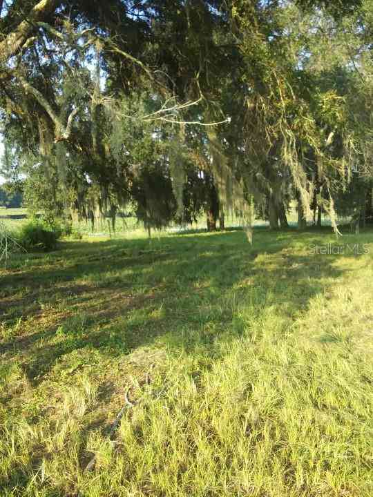 35140 County State Rd 52, DADE CITY, Florida image 7