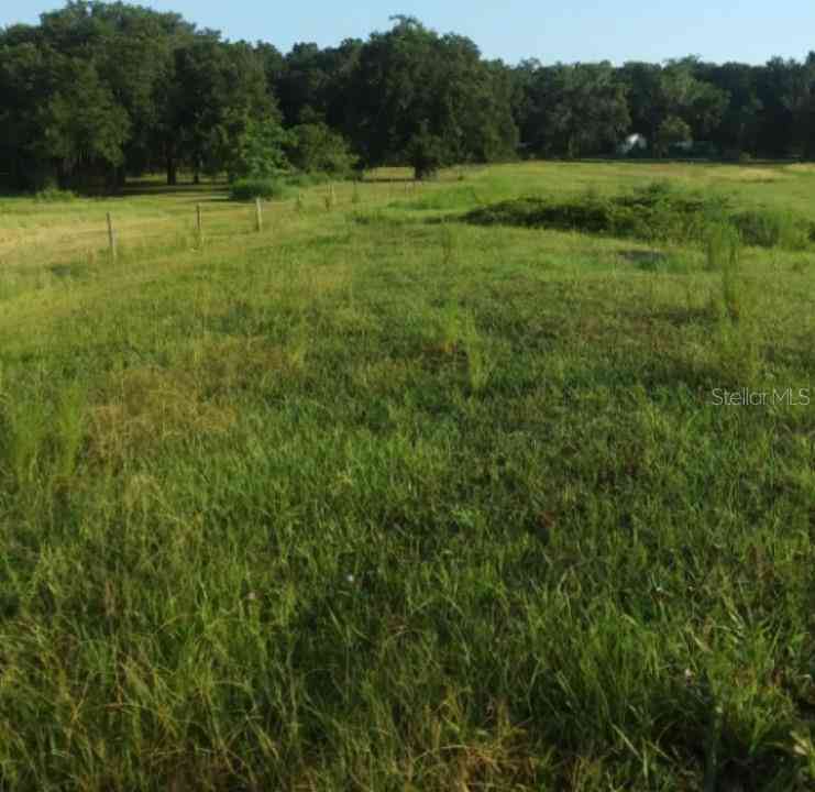 35140 County State Rd 52, DADE CITY, Florida image 1