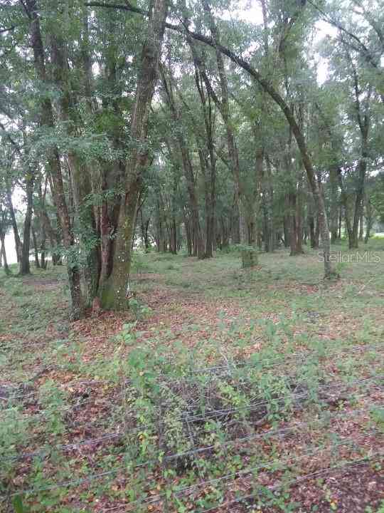 35140 County State Rd 52, DADE CITY, Florida image 2