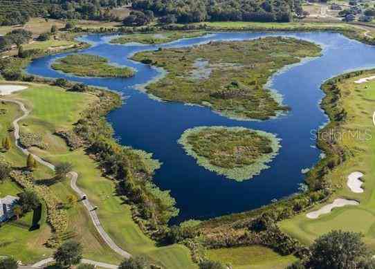 26116 Estates Ridge Drive, SORRENTO, Florida image 3