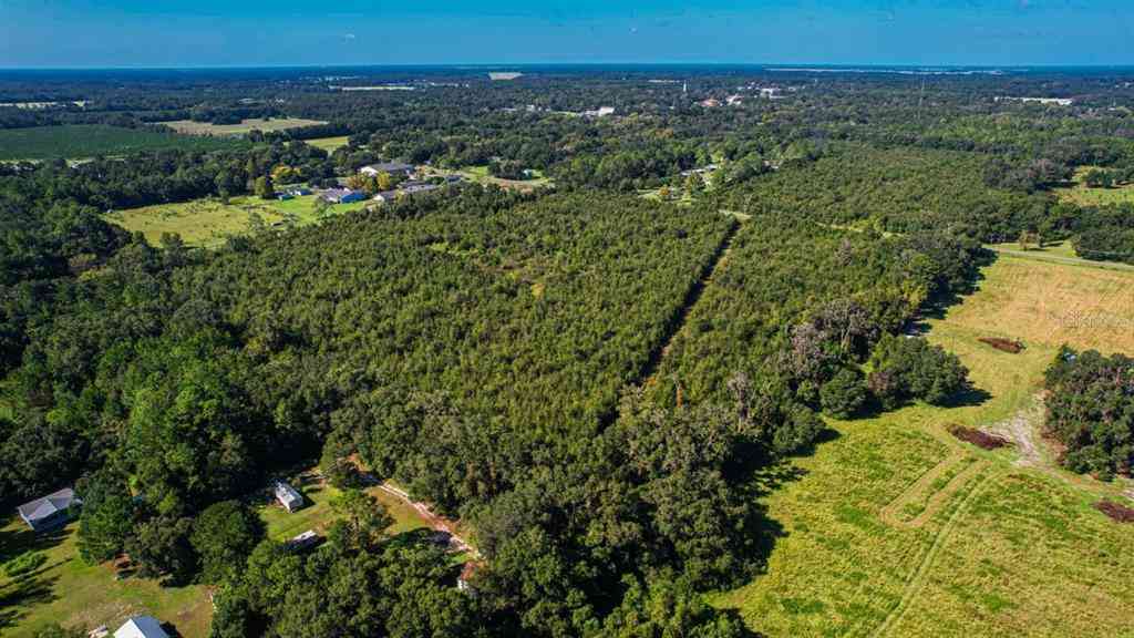 205 Avenue, WILLISTON, Florida image 5
