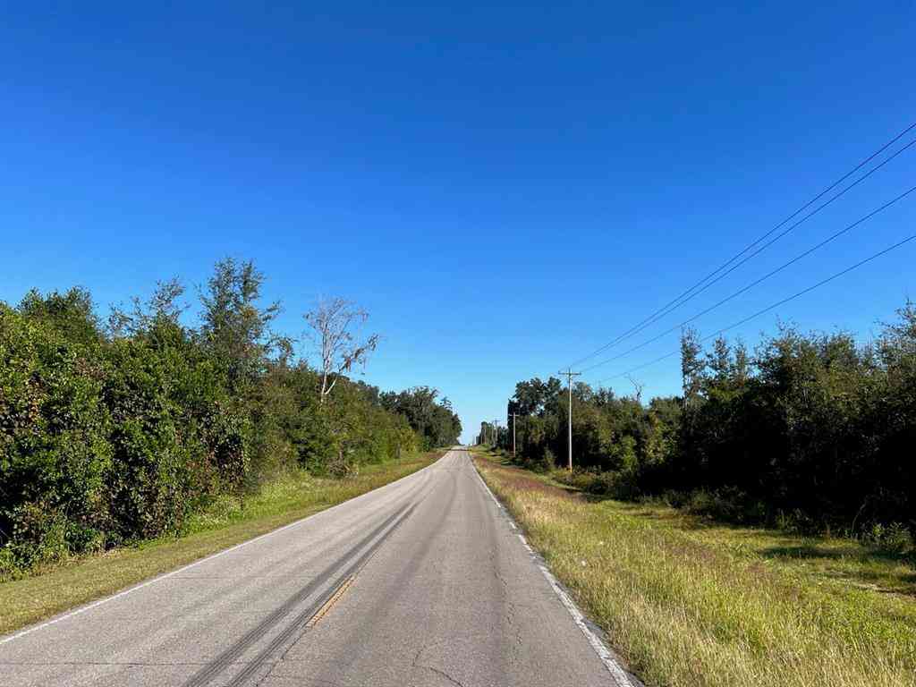 205 Avenue, WILLISTON, Florida image 21