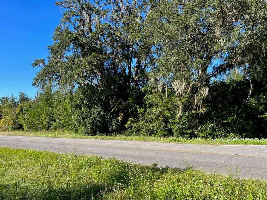205 Avenue, WILLISTON, Florida image 26