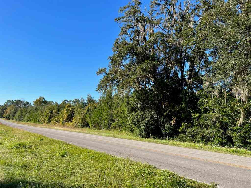 205 Avenue, WILLISTON, Florida image 27