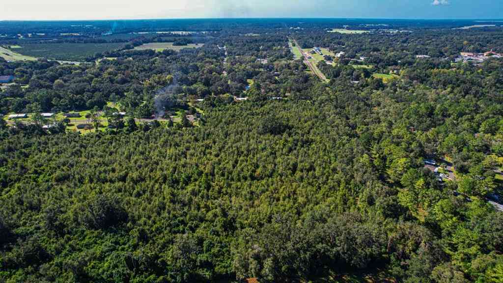 205 Avenue, WILLISTON, Florida image 12