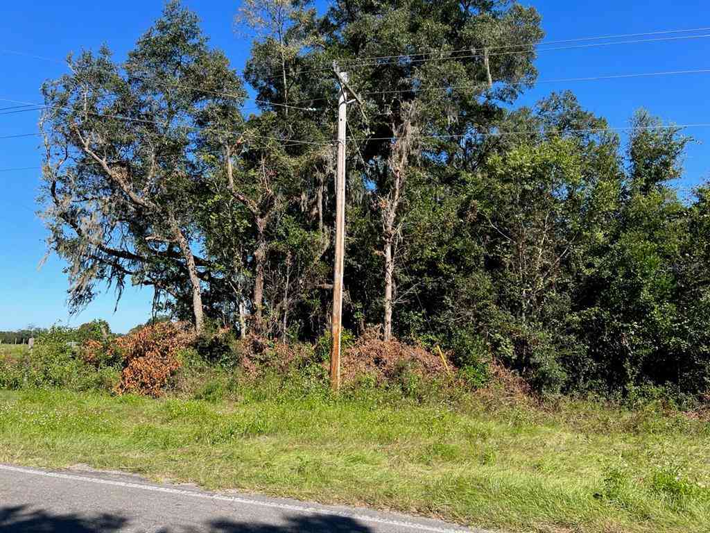 205 Avenue, WILLISTON, Florida image 25