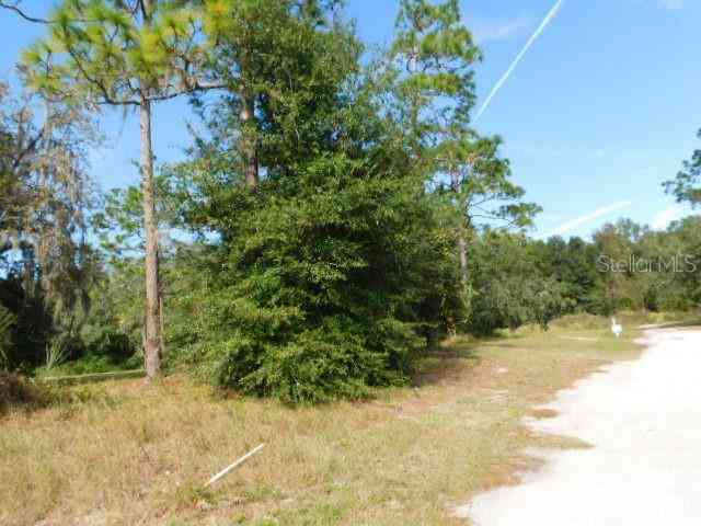 Whispering Oaks Blvd., DADE CITY, Florida image 9