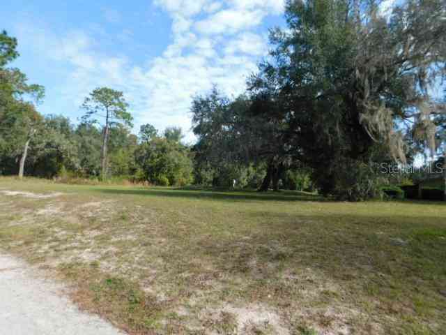 Cedarfield Drive, DADE CITY, Florida image 6