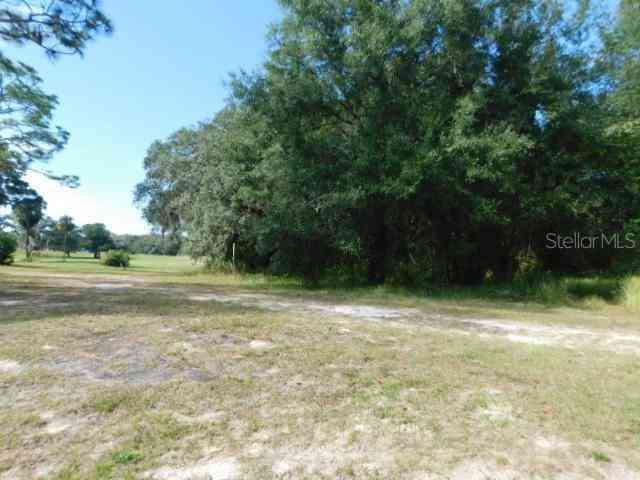 Cedarfield Drive, DADE CITY, Florida image 7