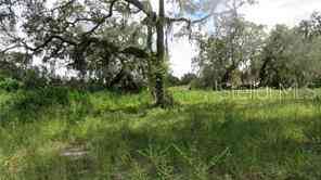 Cedarfield Drive, DADE CITY, Florida image 1
