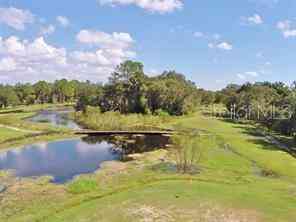 Cedarfield Drive, DADE CITY, Florida image 4