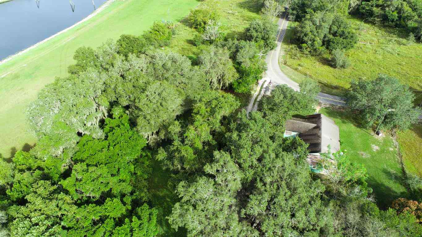 9358 Harney Road, THONOTOSASSA, Florida image 17