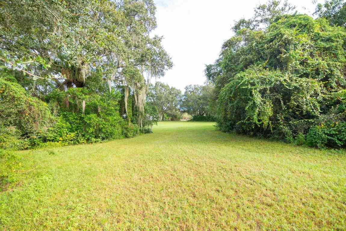 9358 Harney Road, THONOTOSASSA, Florida image 5