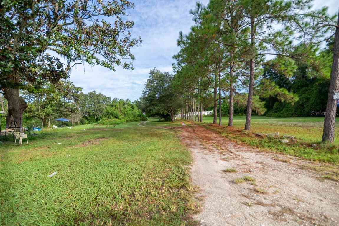 9358 Harney Road, THONOTOSASSA, Florida image 20