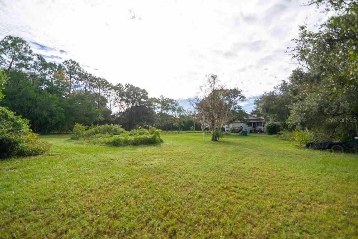 9358 Harney Road, THONOTOSASSA, Florida image 6