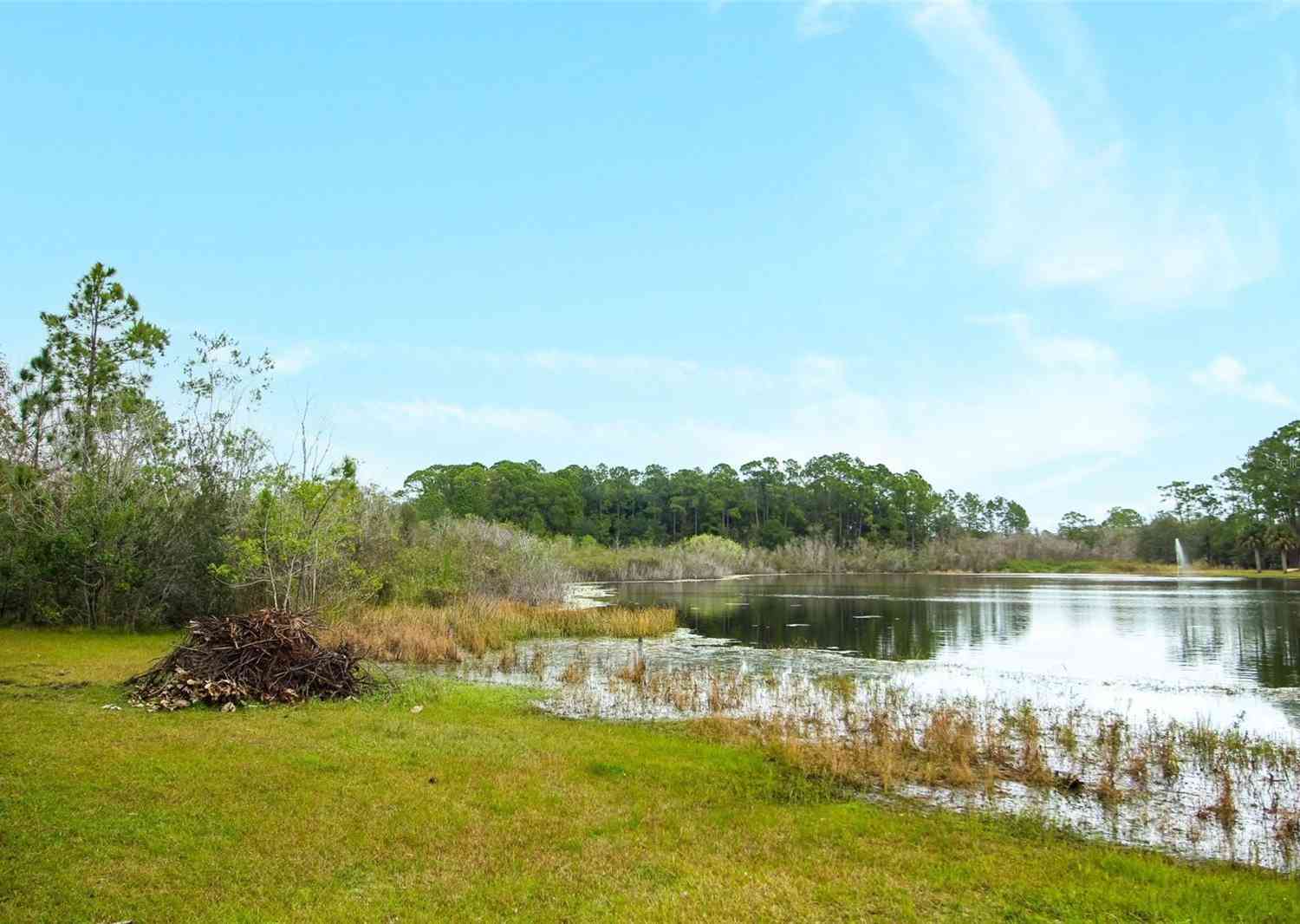 Lake Shore Drive, LAKE MARY, Florida image 7