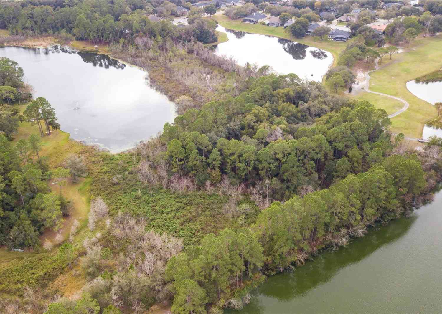 Lake Shore Drive, LAKE MARY, Florida image 3