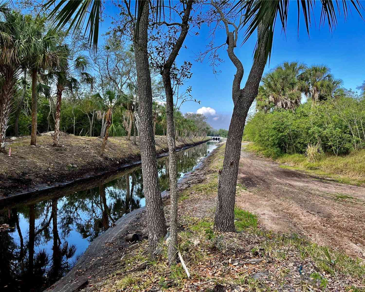 S Tarpon, Tampa, Florida image 1