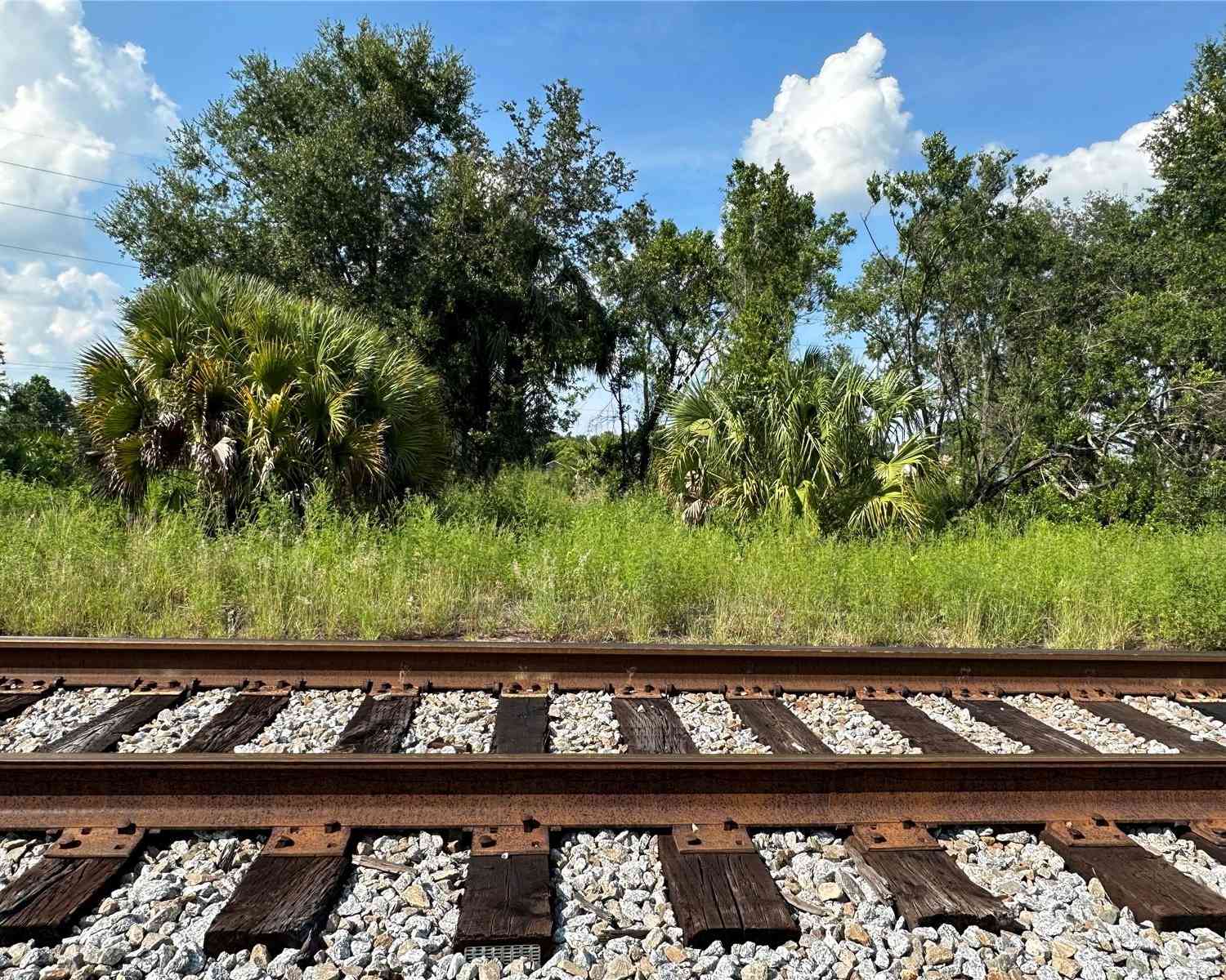 Canal Street, MULBERRY, Florida image 5