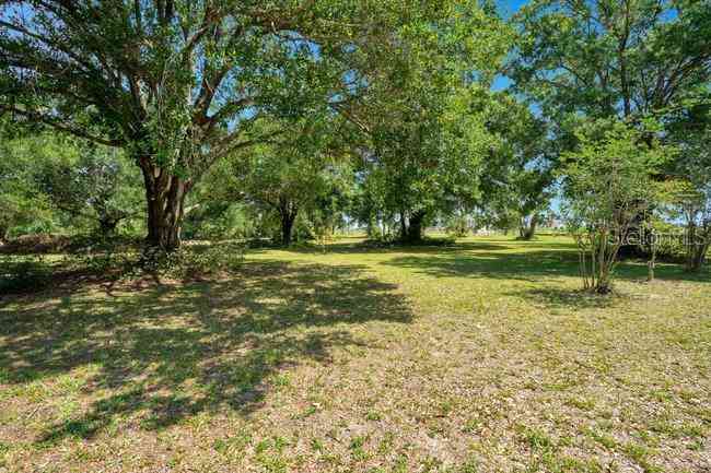 2026 N Lakewood Avenue, OCOEE, Florida image 2