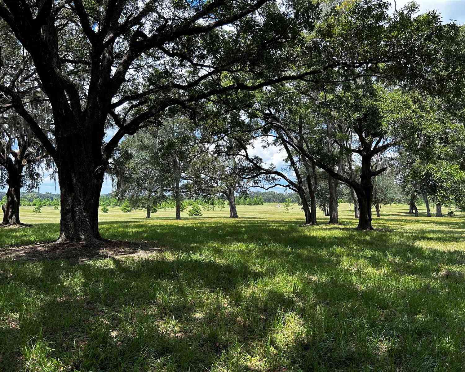 16470 N Us Highway 27, WILLISTON, Florida image 3