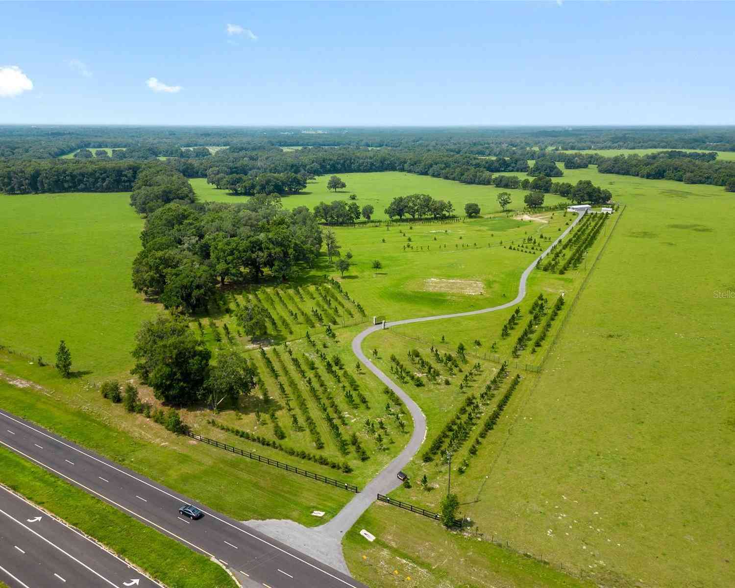 16470 N Us Highway 27, WILLISTON, Florida image 22