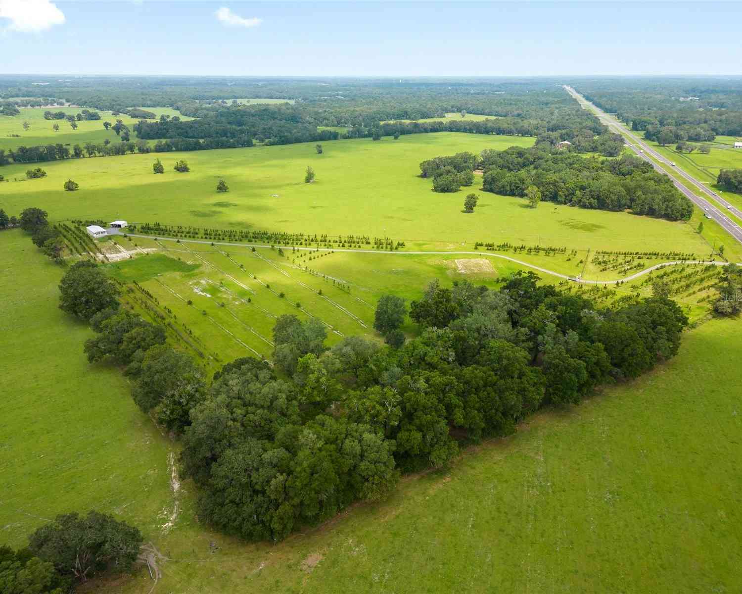 16470 N Us Highway 27, WILLISTON, Florida image 29