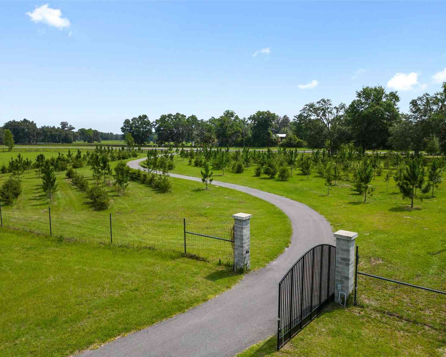 16470 N Us Highway 27, WILLISTON, Florida image 10