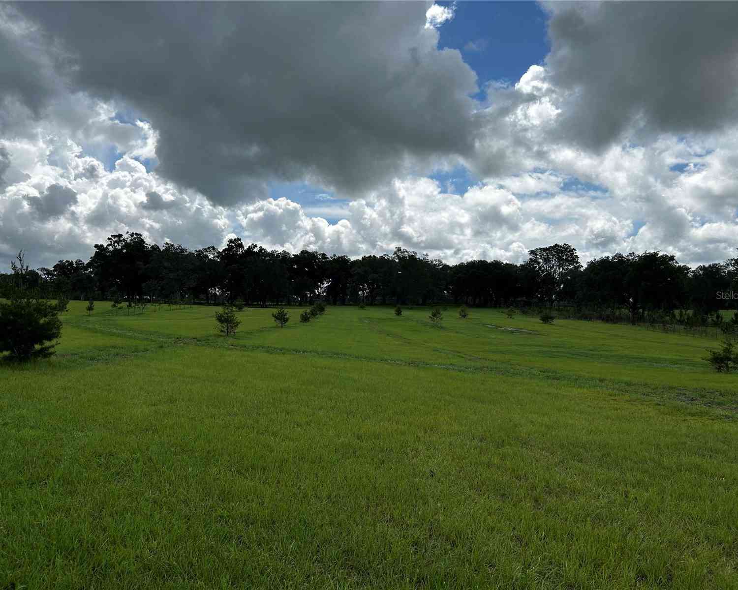 16470 N Us Highway 27, WILLISTON, Florida image 49