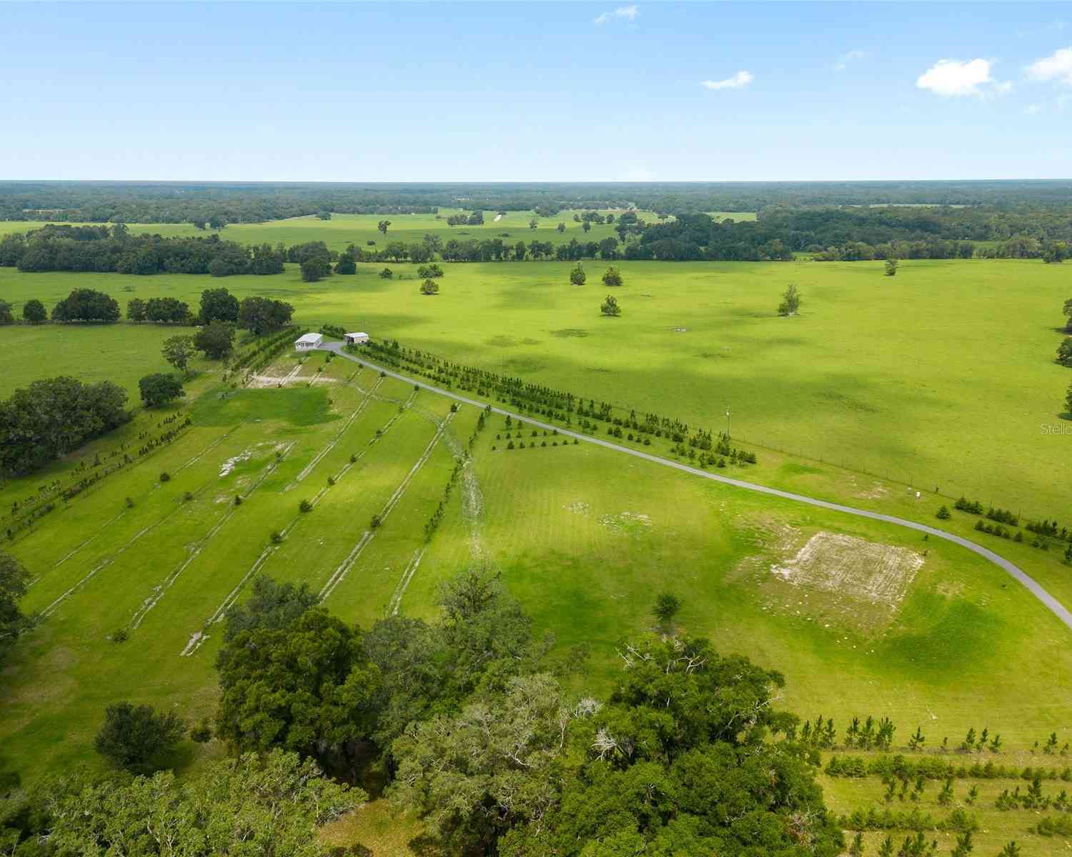 16470 N Us Highway 27, WILLISTON, Florida image 28