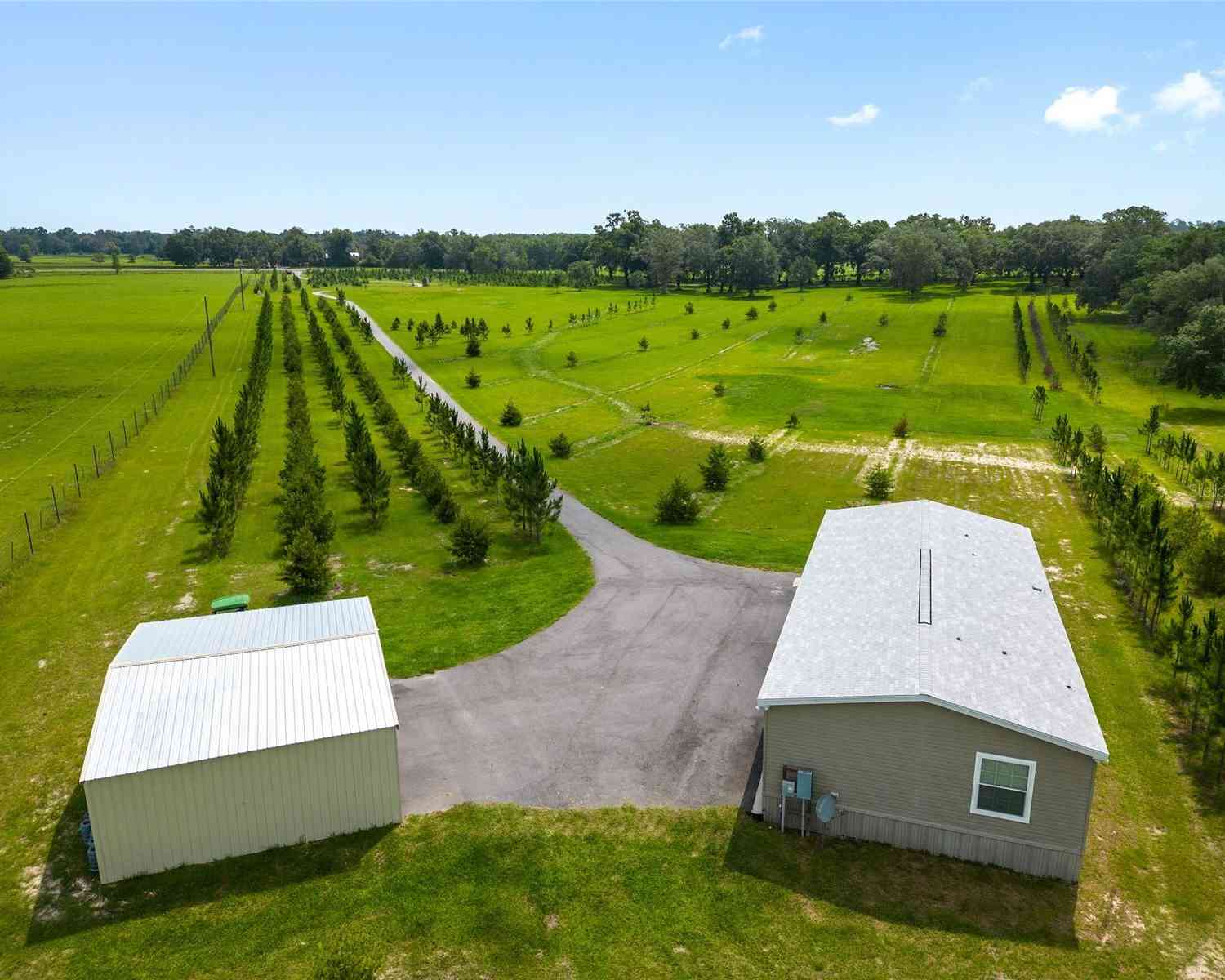 16470 N Us Highway 27, WILLISTON, Florida image 20