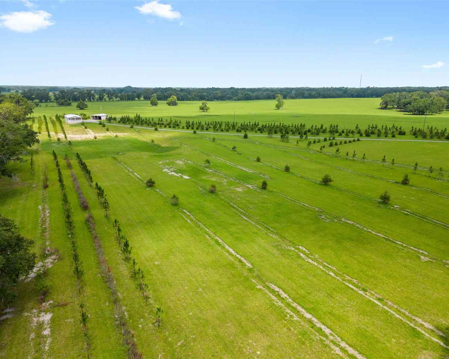 16470 N Us Highway 27, WILLISTON, Florida image 27