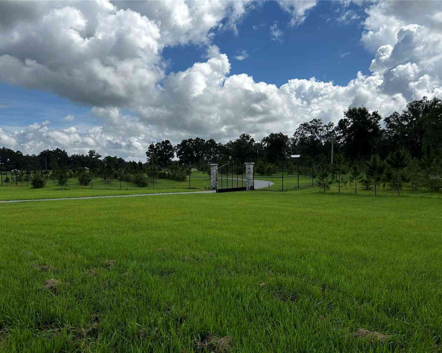 16470 N Us Highway 27, WILLISTON, Florida image 50