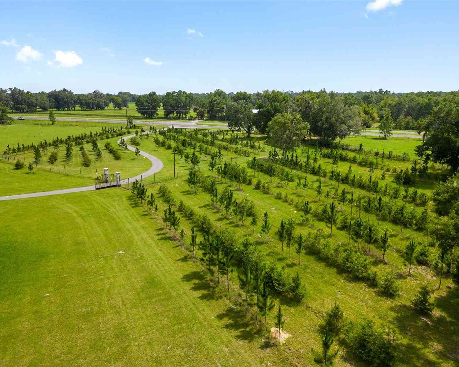 16470 N Us Highway 27, WILLISTON, Florida image 25