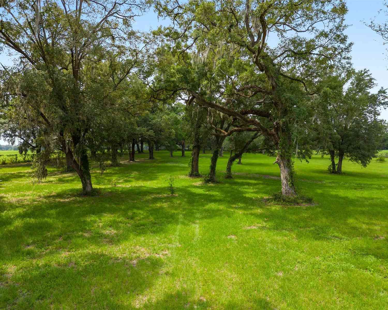 16470 N Us Highway 27, WILLISTON, Florida image 33