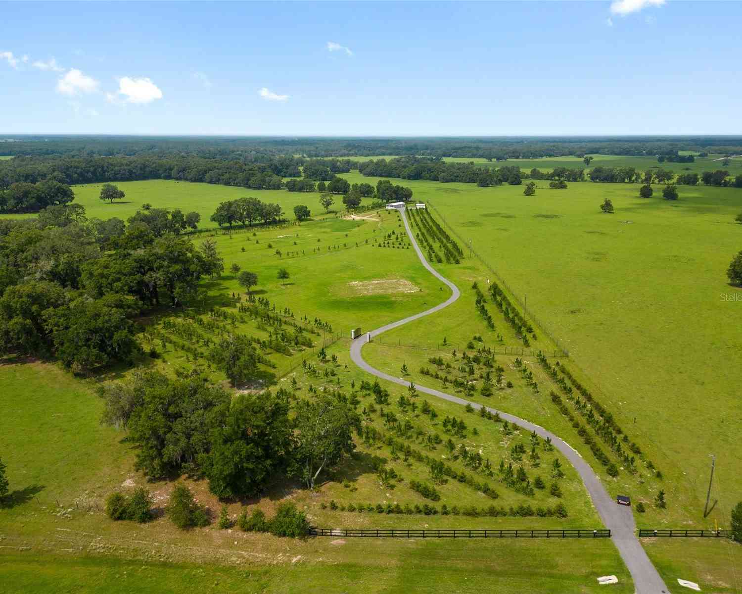 16470 N Us Highway 27, WILLISTON, Florida image 21