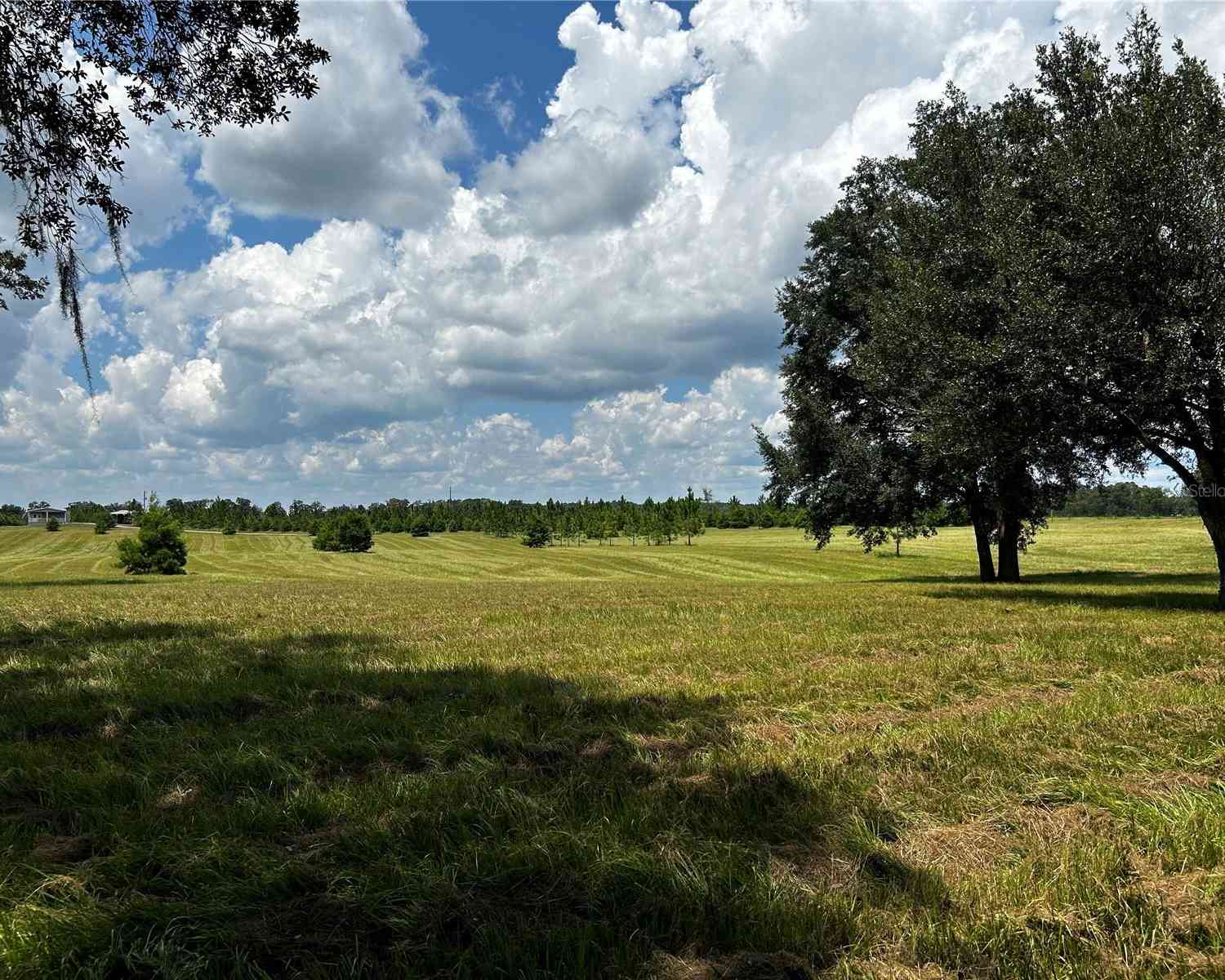 16470 N Us Highway 27, WILLISTON, Florida image 5