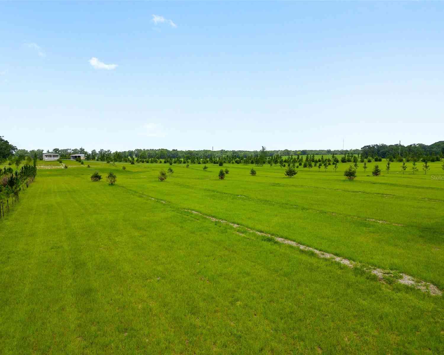 16470 N Us Highway 27, WILLISTON, Florida image 35