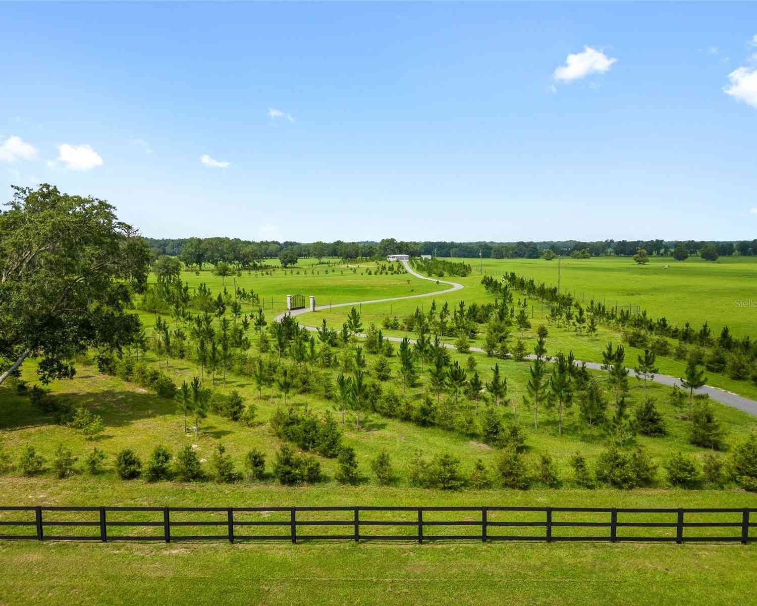 16470 N Us Highway 27, WILLISTON, Florida image 23