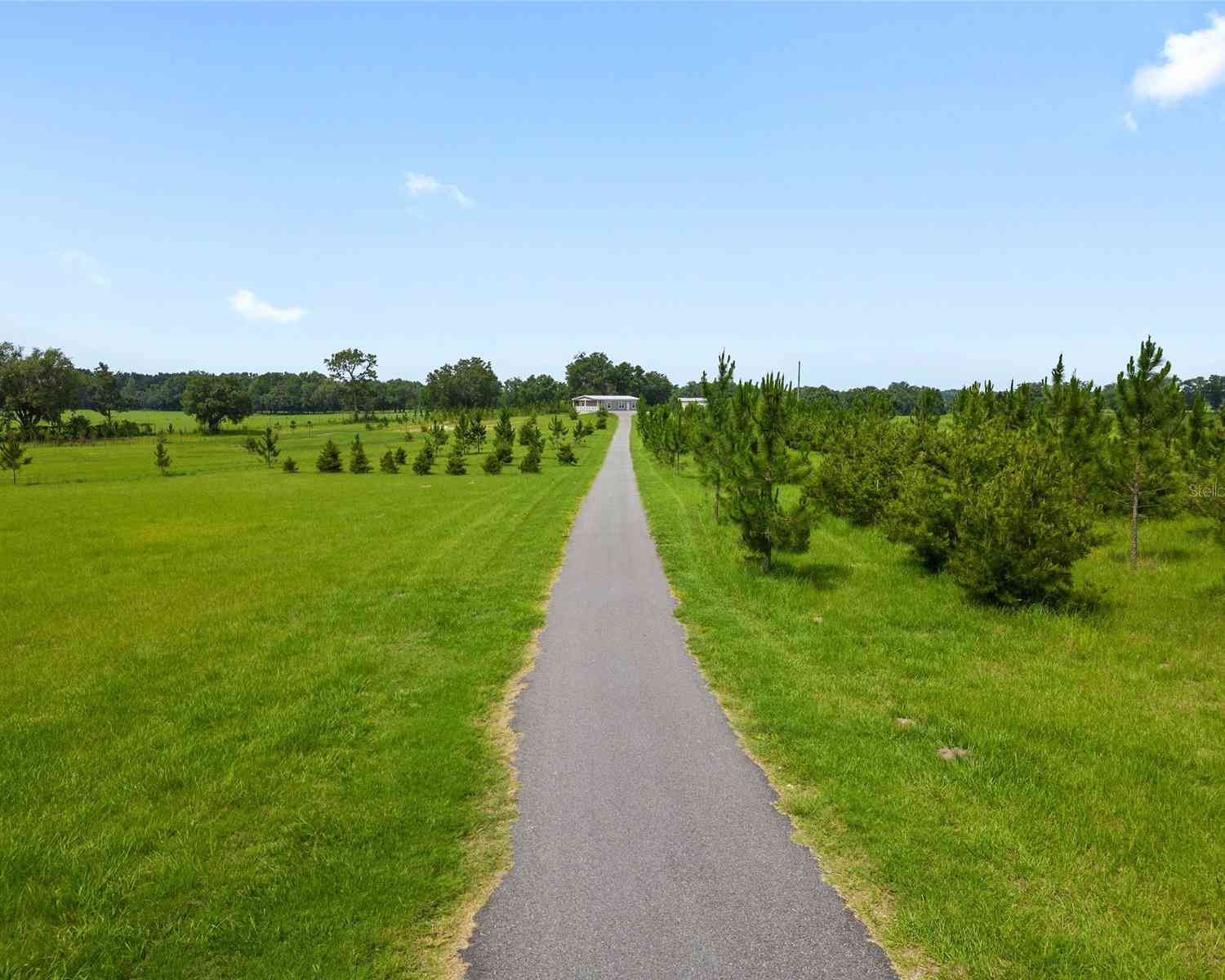 16470 N Us Highway 27, WILLISTON, Florida image 11