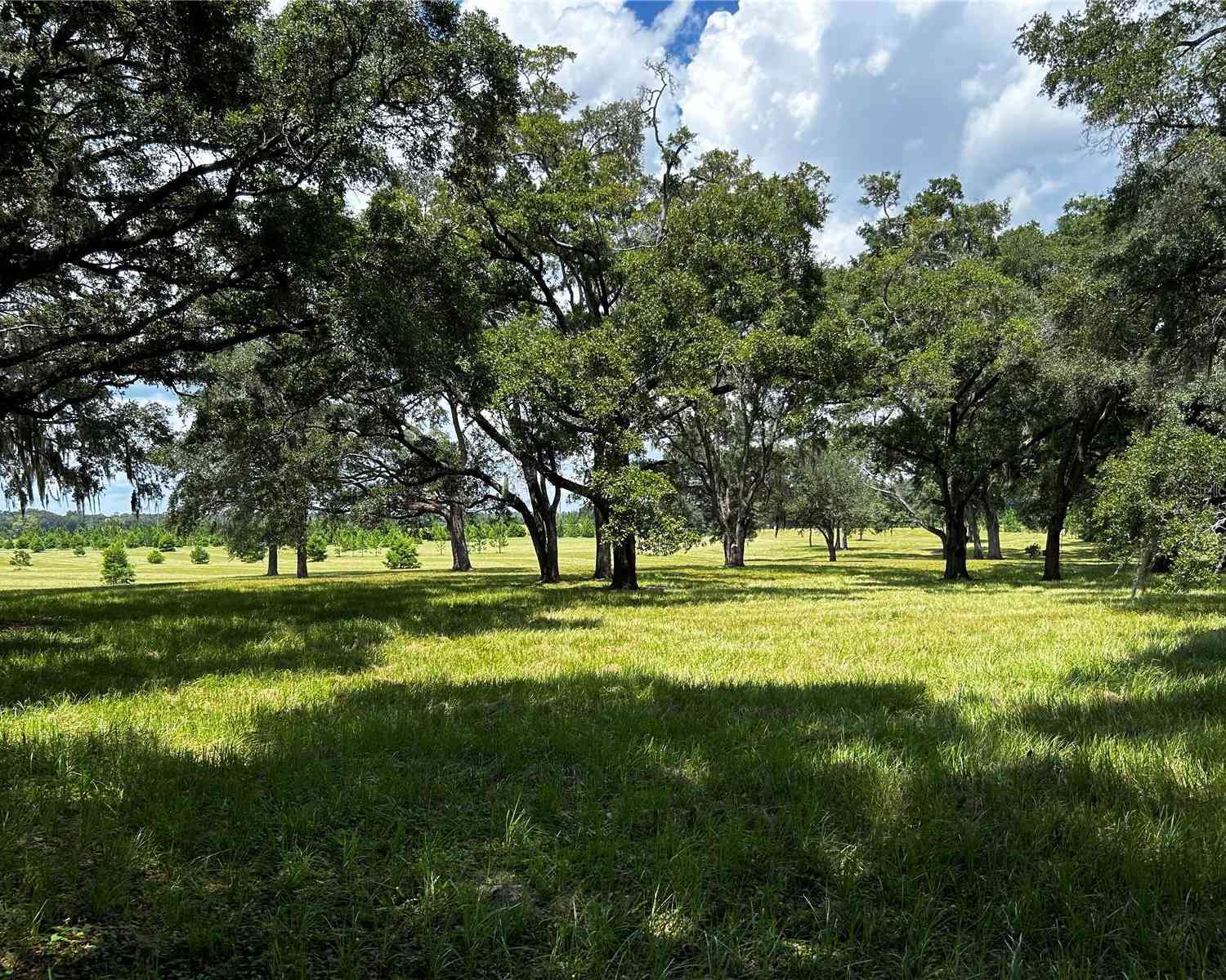 16470 N Us Highway 27, WILLISTON, Florida image 2
