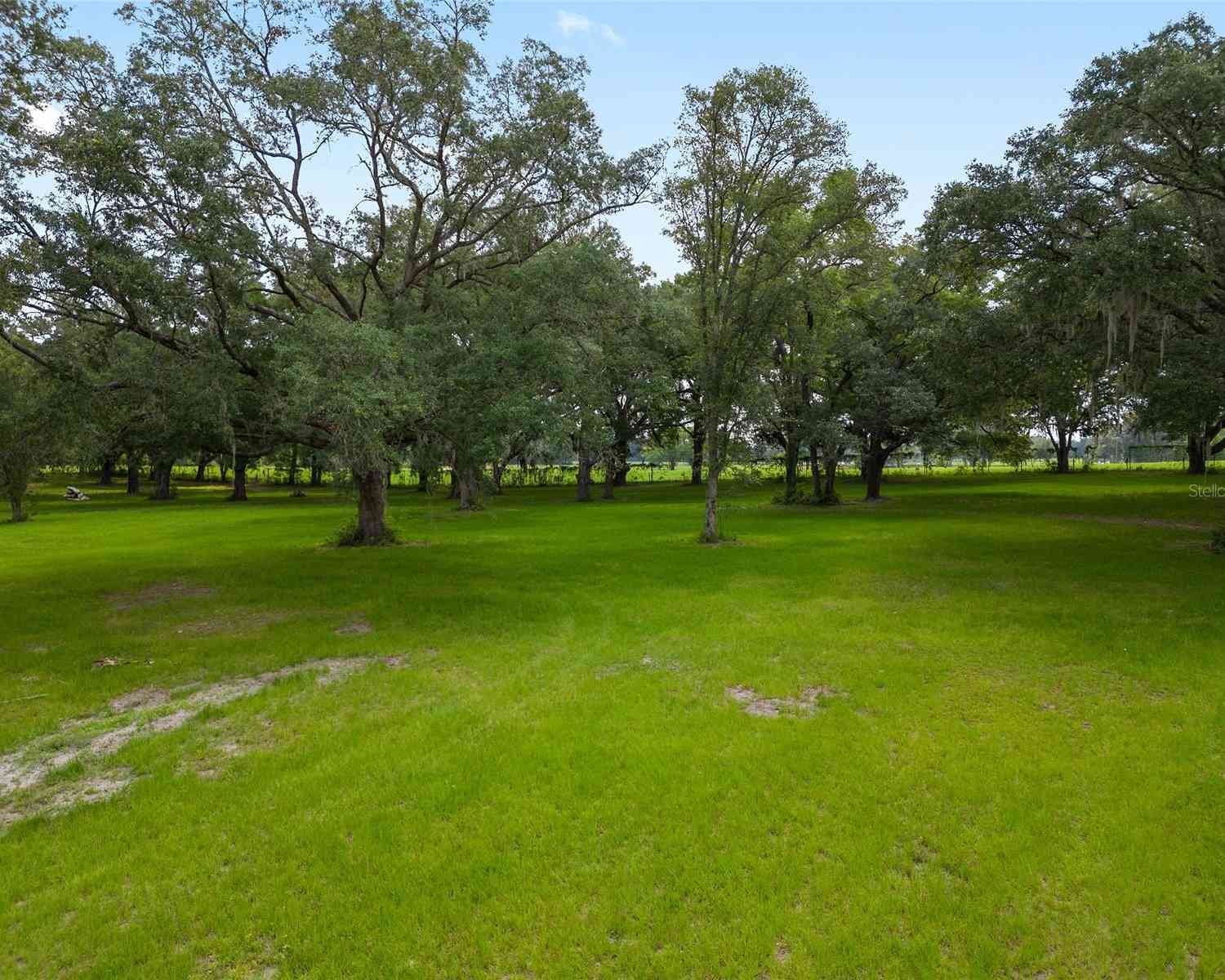 16470 N Us Highway 27, WILLISTON, Florida image 34