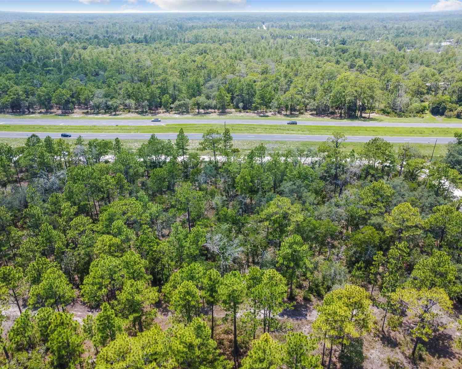 17496 Nicasio Jay Avenue, WEEKI WACHEE, Florida image 42