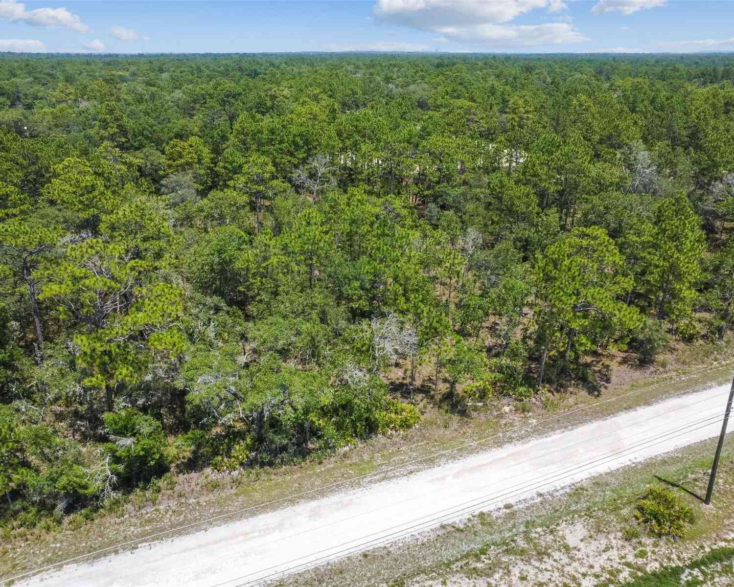 17496 Nicasio Jay Avenue, WEEKI WACHEE, Florida image 33