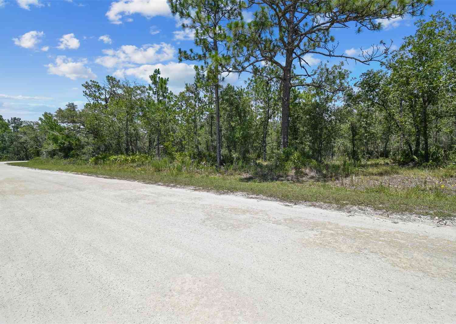 17496 Nicasio Jay Avenue, WEEKI WACHEE, Florida image 3