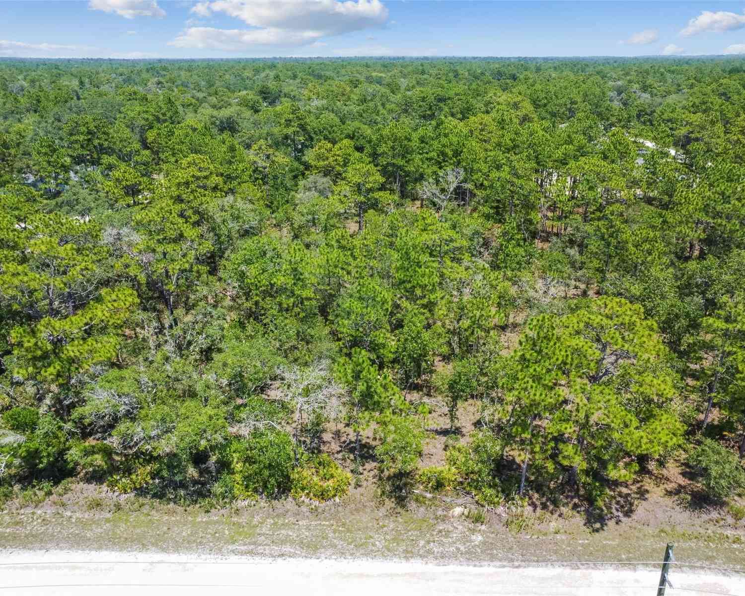 17496 Nicasio Jay Avenue, WEEKI WACHEE, Florida image 32