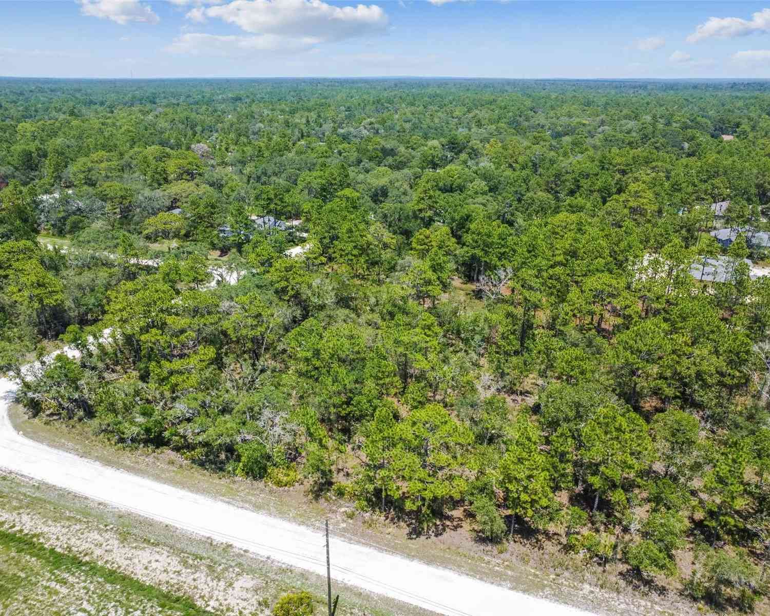 17496 Nicasio Jay Avenue, WEEKI WACHEE, Florida image 30