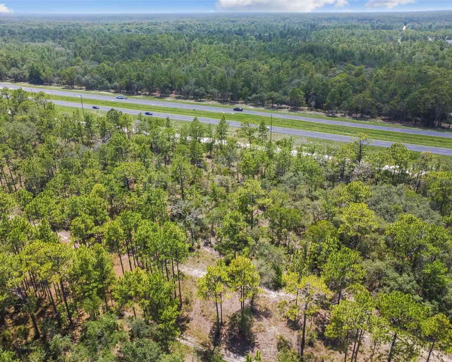 17496 Nicasio Jay Avenue, WEEKI WACHEE, Florida image 41