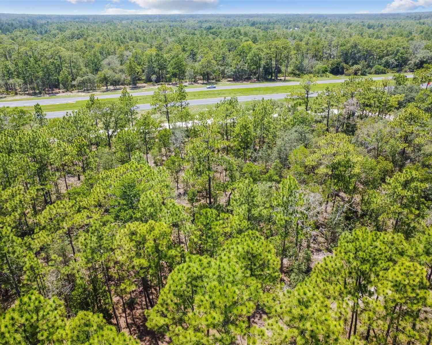 17496 Nicasio Jay Avenue, WEEKI WACHEE, Florida image 9