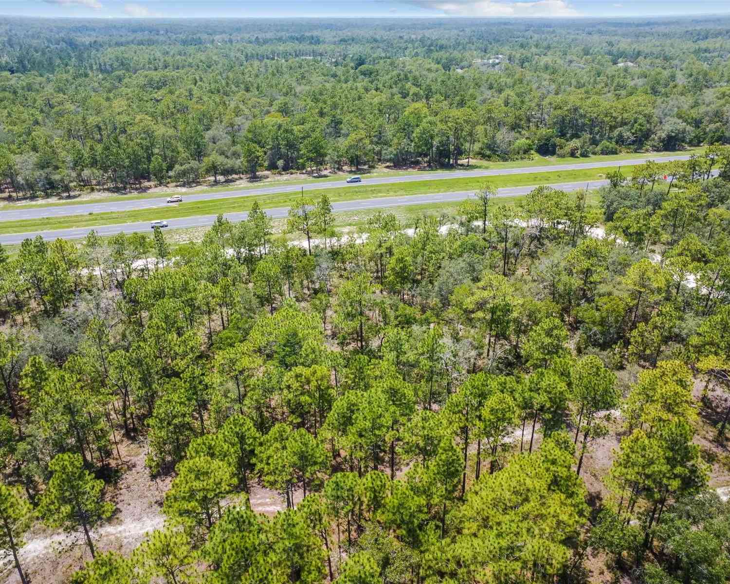 17496 Nicasio Jay Avenue, WEEKI WACHEE, Florida image 8